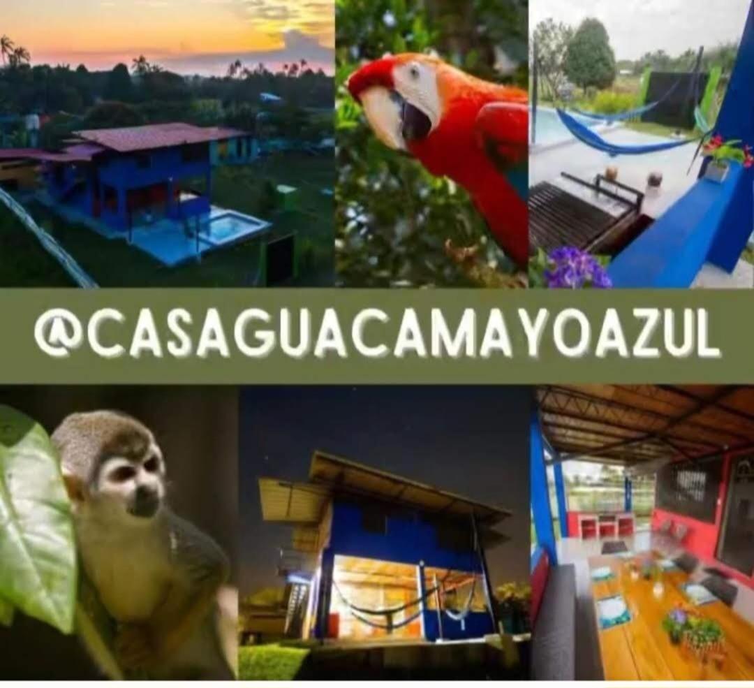 Guacamayo Azul Villa Iquitos Eksteriør billede