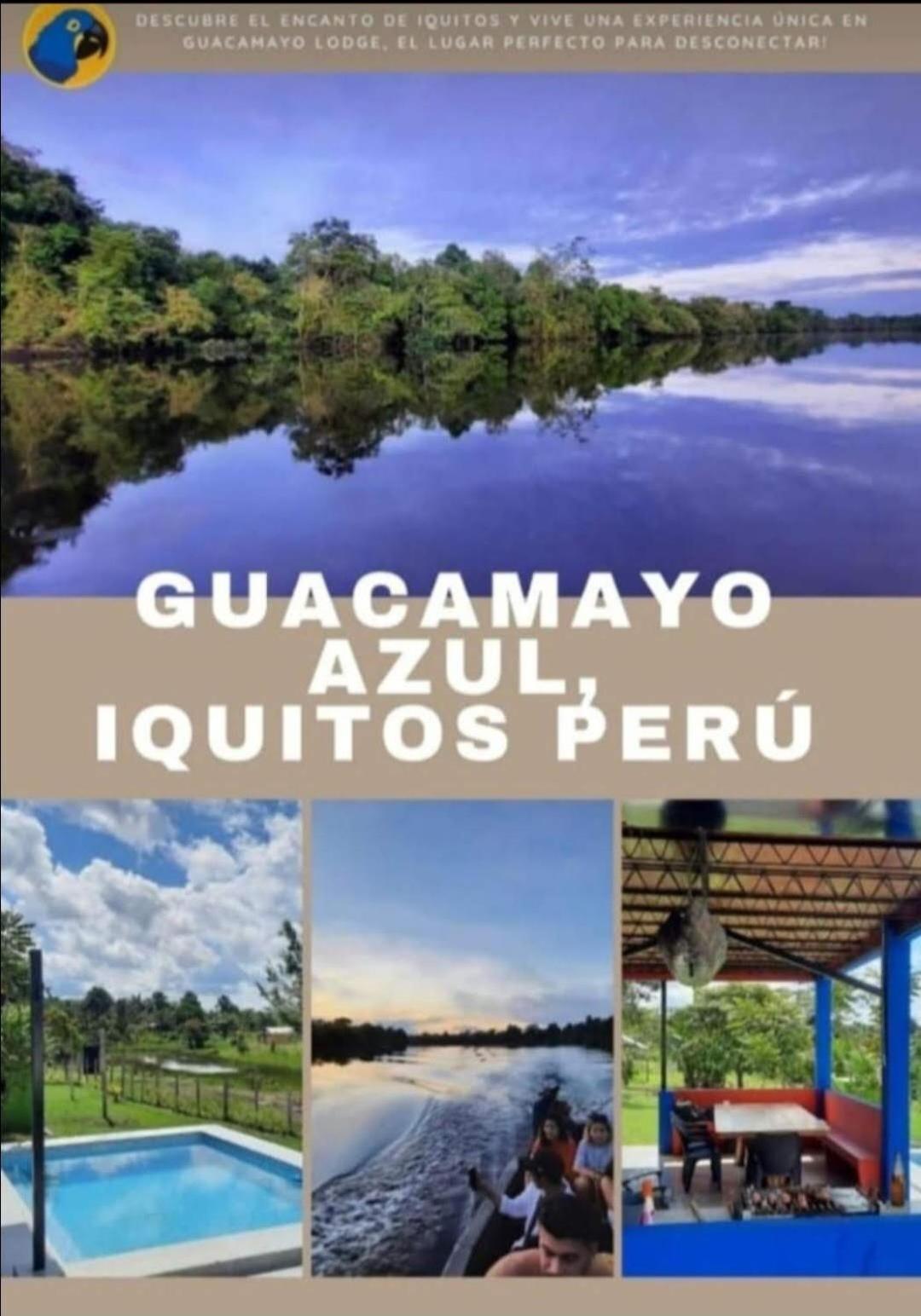 Guacamayo Azul Villa Iquitos Eksteriør billede